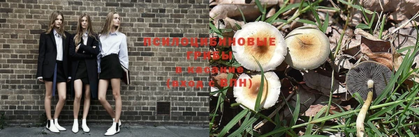 spice Киреевск