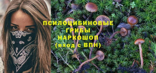 трава Кинешма