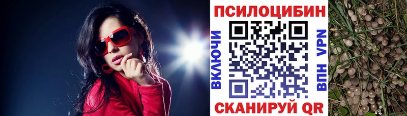 Купить где  Талица  Псилоцибиновые грибы GOLDEN TEACHER 
